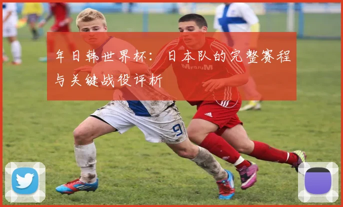 年日韩世界杯：日本队的完整赛程与关键战役评析