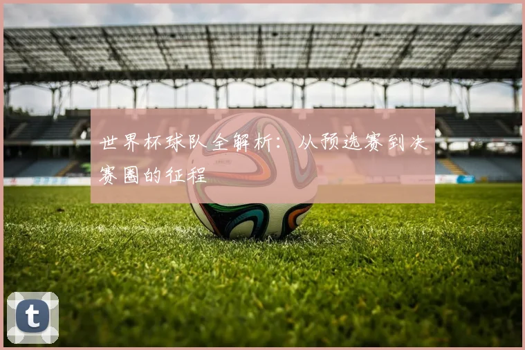 世界杯球队全解析：从预选赛到决赛圈的征程