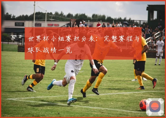 世界杯小组赛积分表：完整赛程与球队战绩一览