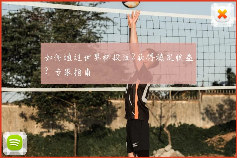 如何通过世界杯投注2获得稳定收益？专家指南