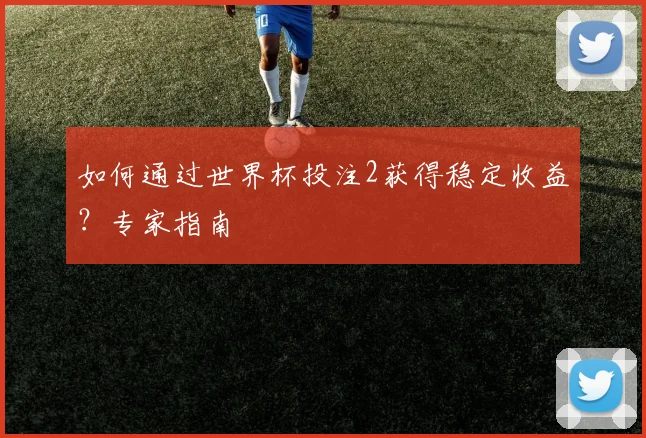 如何通过世界杯投注2获得稳定收益？专家指南
